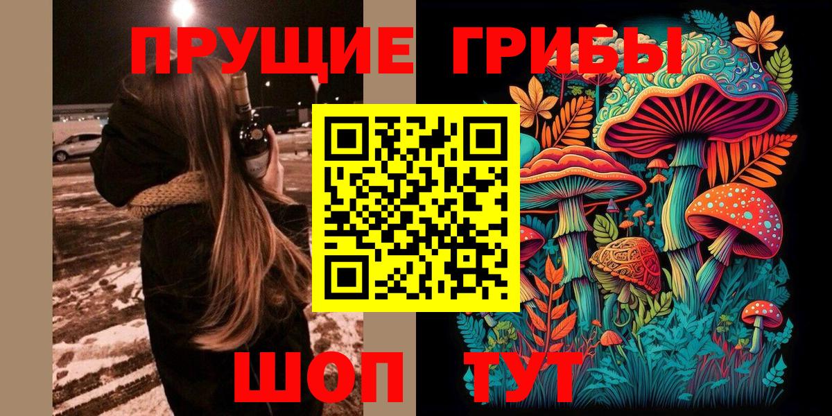 Домодедово  Псилоцибиновые грибы мухоморы  Вход с VPN 