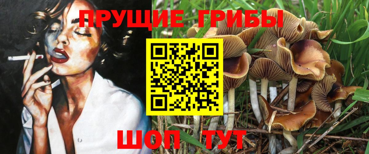 Псилоцибиновые грибы MAGIC MUSHROOMS Домодедово